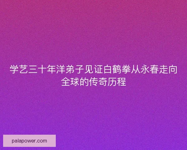 学艺三十年洋弟子见证白鹤拳从永春走向全球的传奇历程