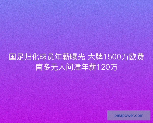国足归化球员年薪曝光 大牌1500万欧费南多无人问津年薪120万